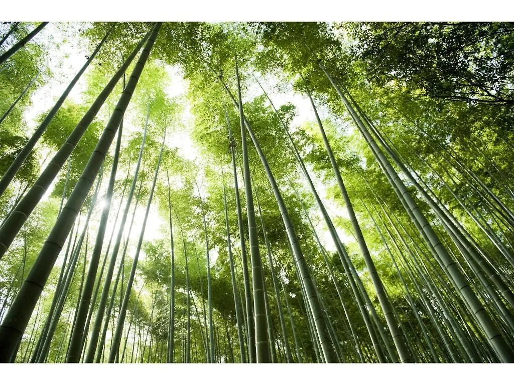 **** Ryokan Ranzan Hotel Kyoto Japan